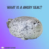 What's An Angry Seal Plushie?