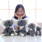 Lewis The Koala Plush