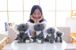 Lewis The Koala Plush